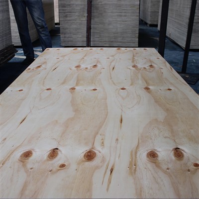 Celtniecības klases CDX priedes saplāksnis