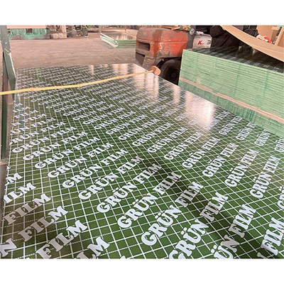 Saplākšņa Biz standarta PP plastmasas saplāksnis